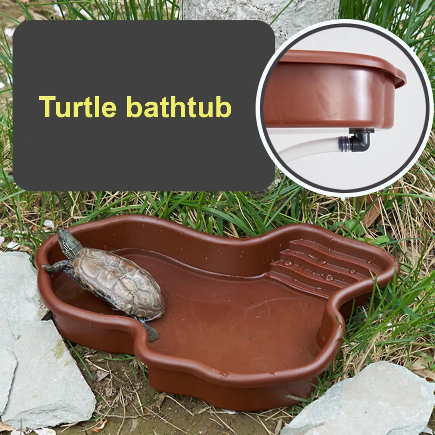Reptile Pool
