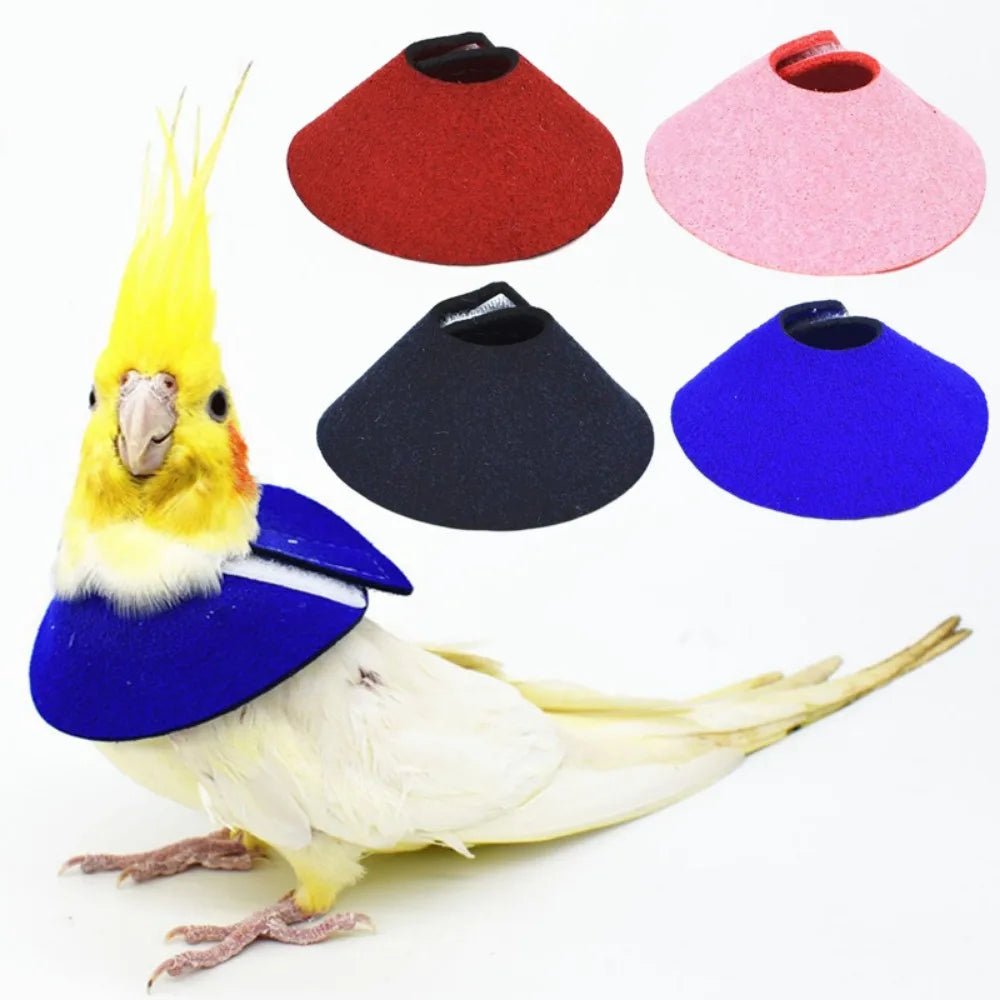 Bird Recovery Collar