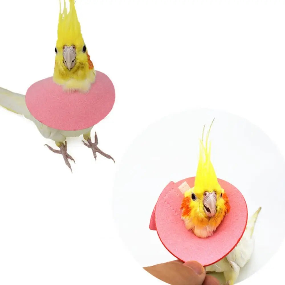 Bird Recovery Collar