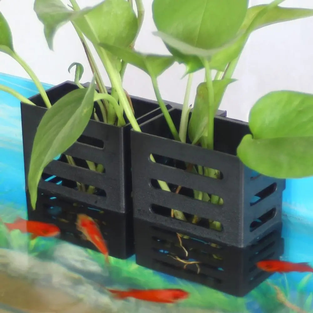 Hydroponic Aquarium Plant Holder