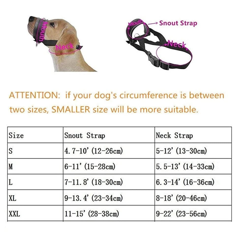 Soft Padded Head Halter