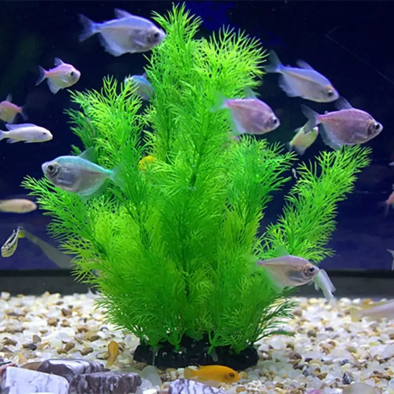 Aquarium Decor