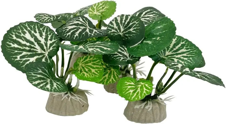 Aquarium/Reptile Decor