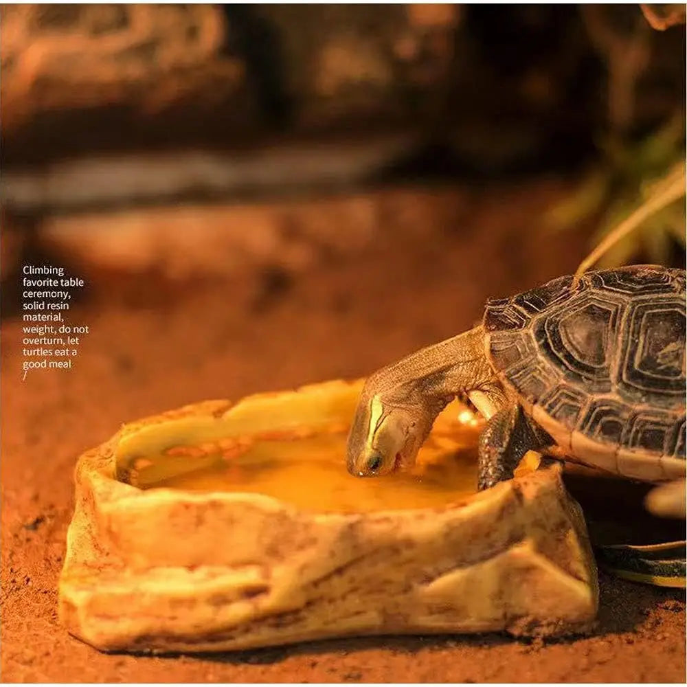 Reptile Water Bowl