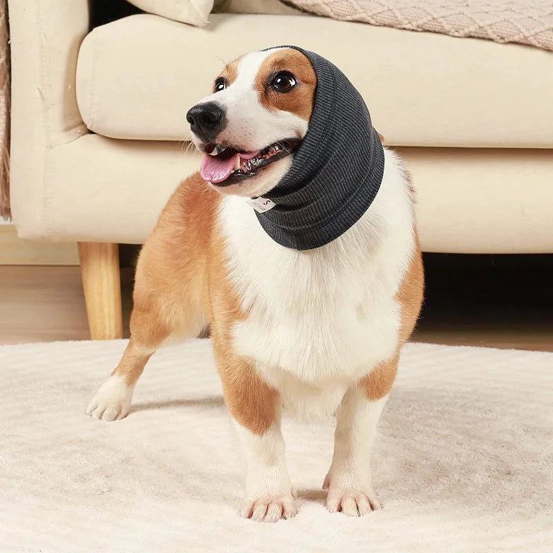 Ear Protection Hoodie