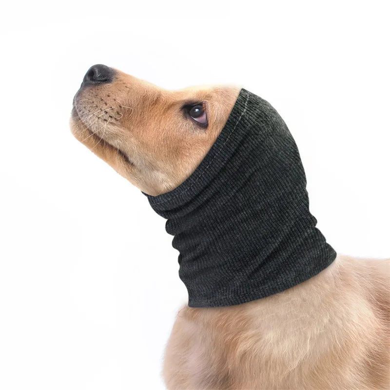 Ear Protection Hoodie