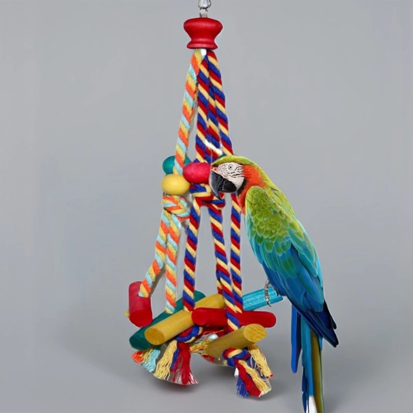 Bird Toy
