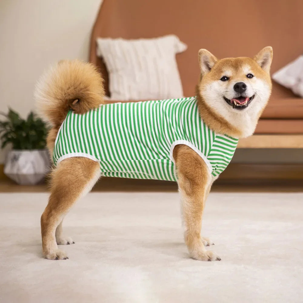 Medium/ Large Dog Recovery Suit