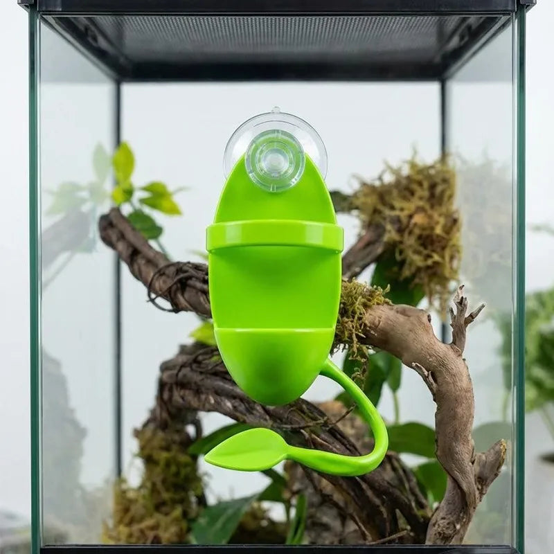 Suction Cup Reptile Ledge Feeder