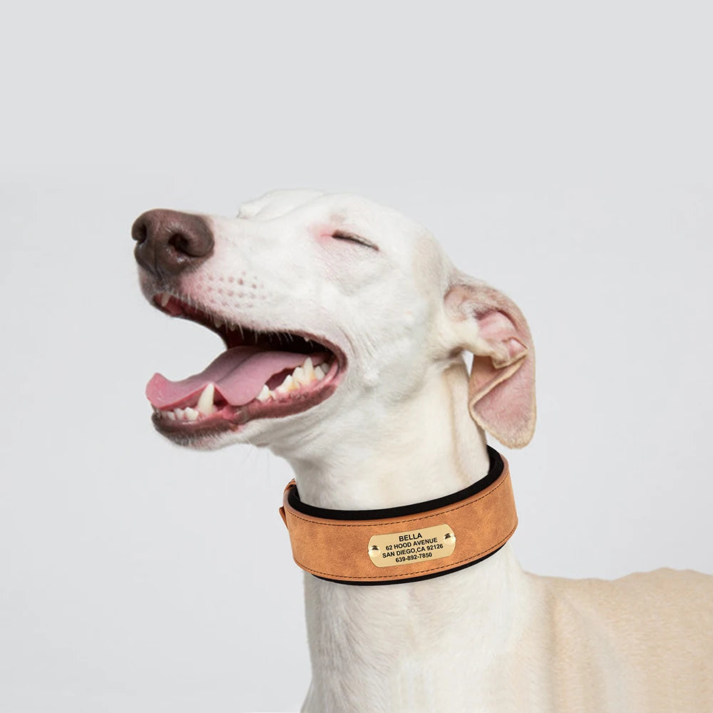 Personalized PU Leather Dog Collar