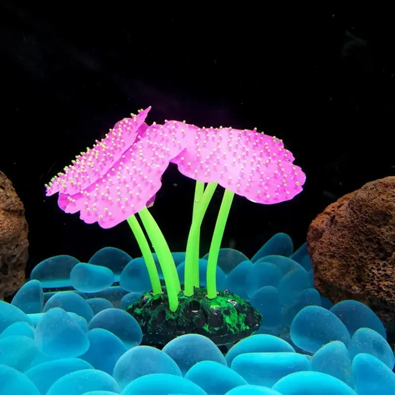 Aquarium Decor