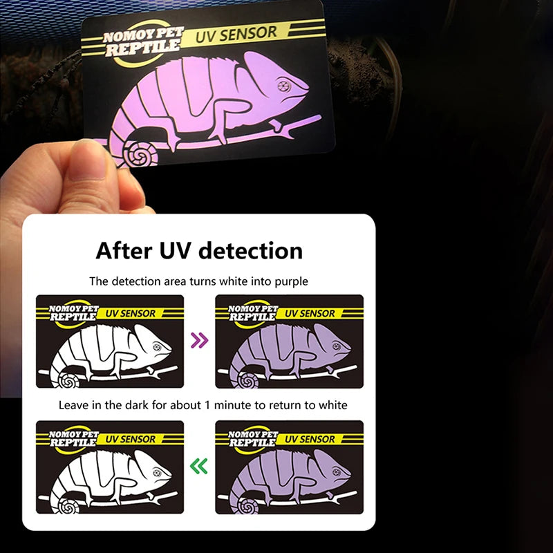 Reptile UV Test Card