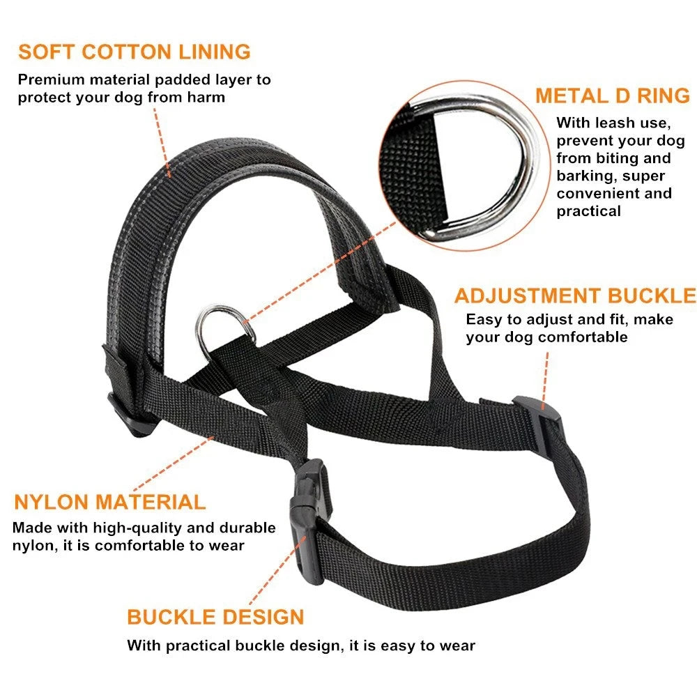 Soft Padded Head Halter