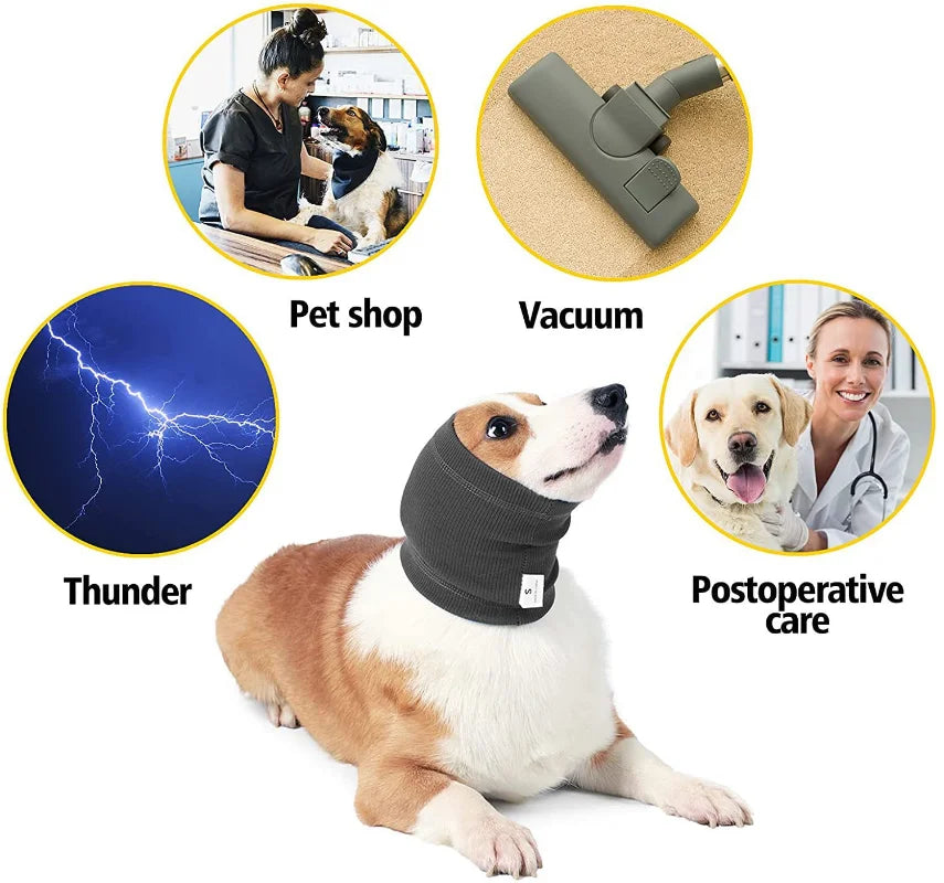 Ear Protection Hoodie