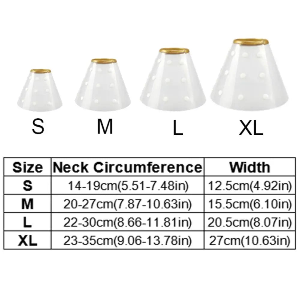E-Collar/ Recovery Cone