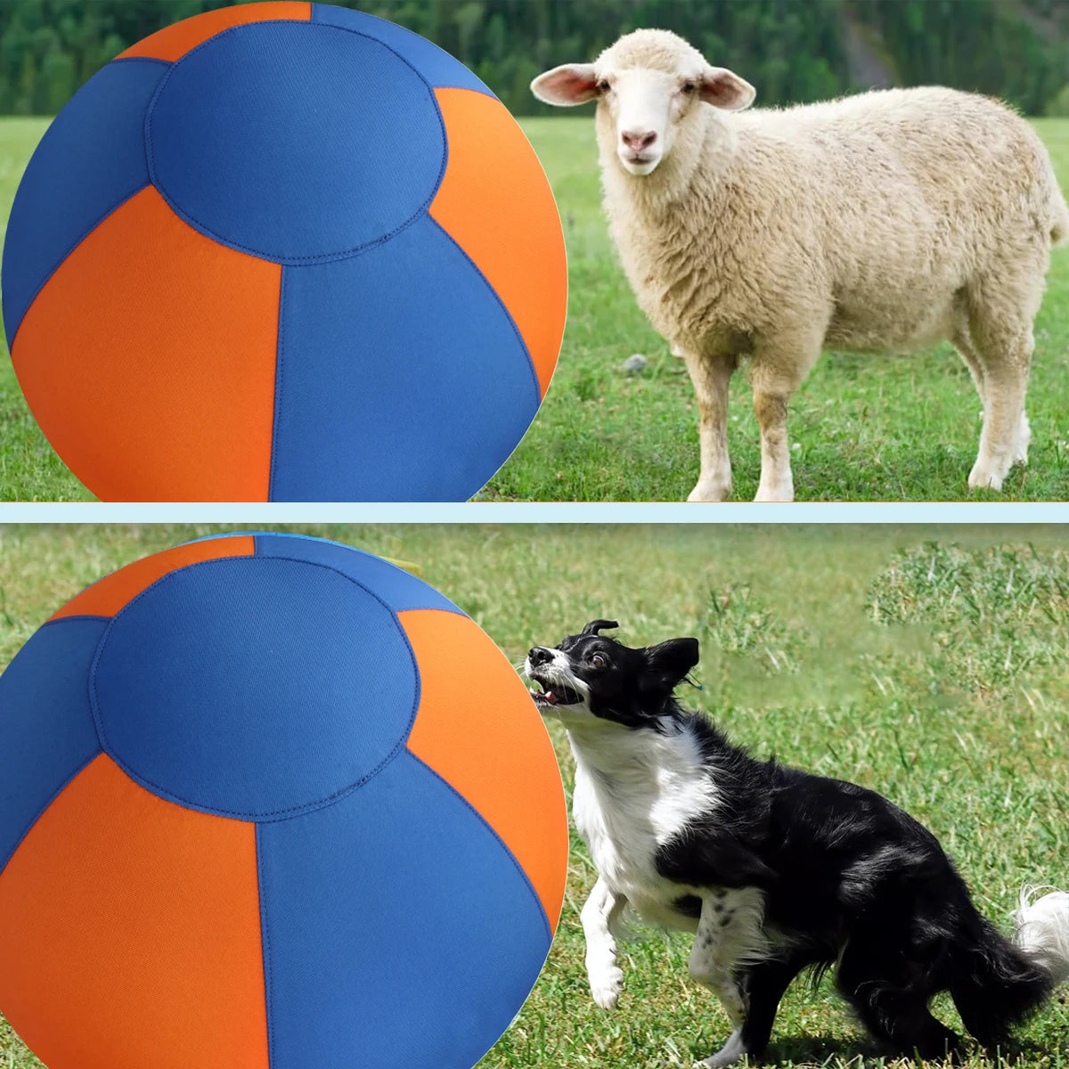 Inflatable Giant Ball