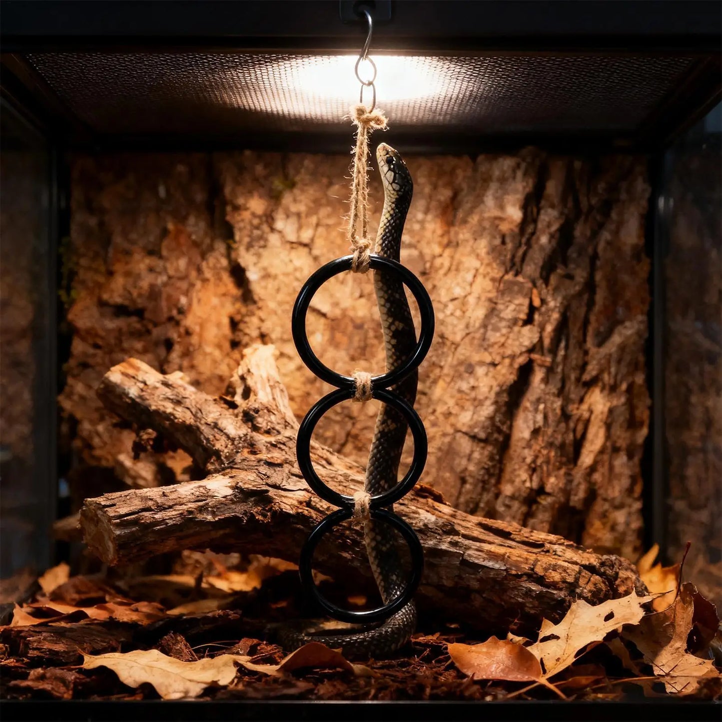 Snake Climbing Rings