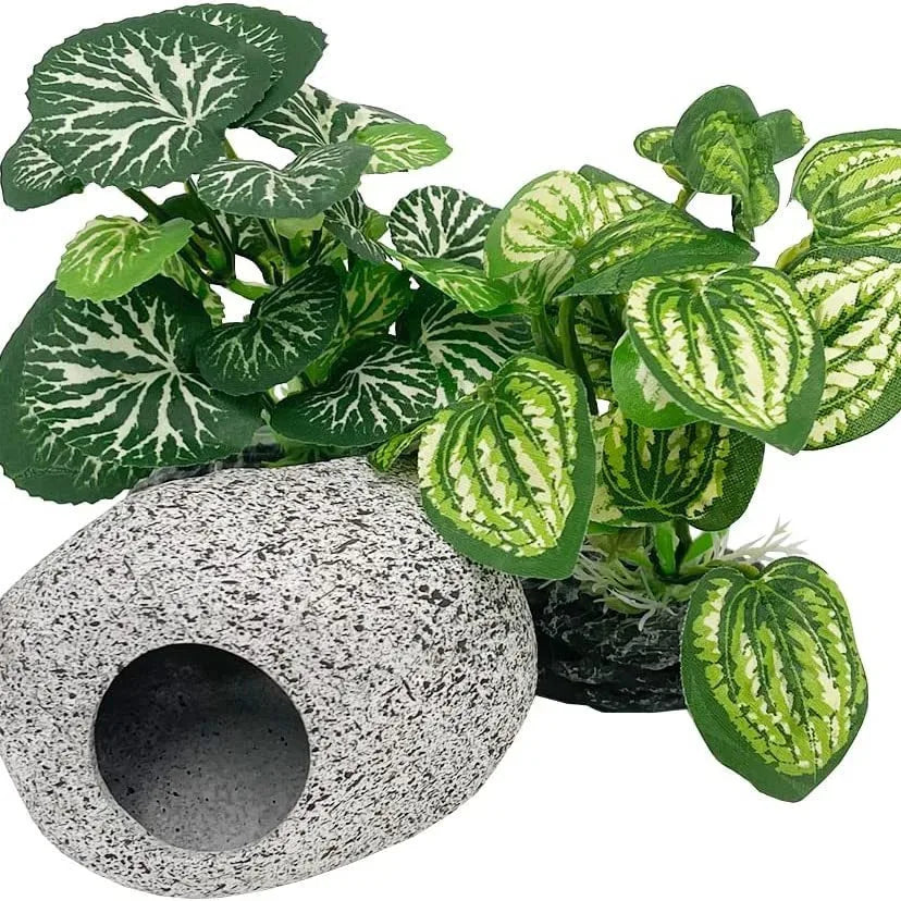 Aquarium/Reptile Decor