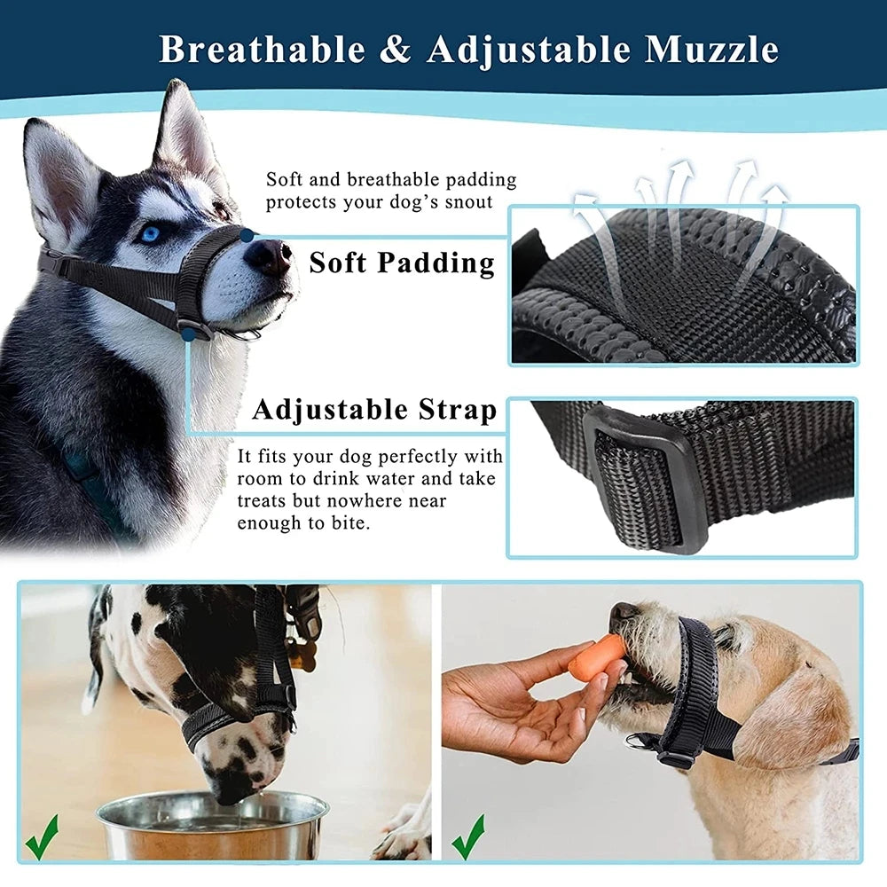 Soft Padded Head Halter