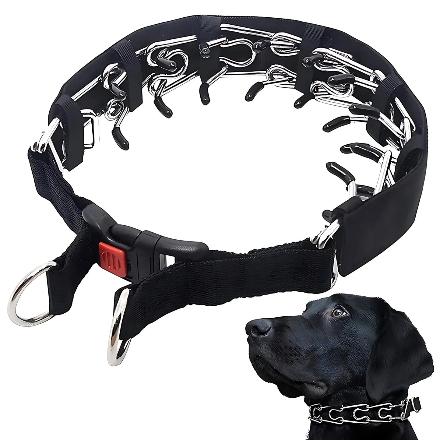 Quick Release Prong Collar