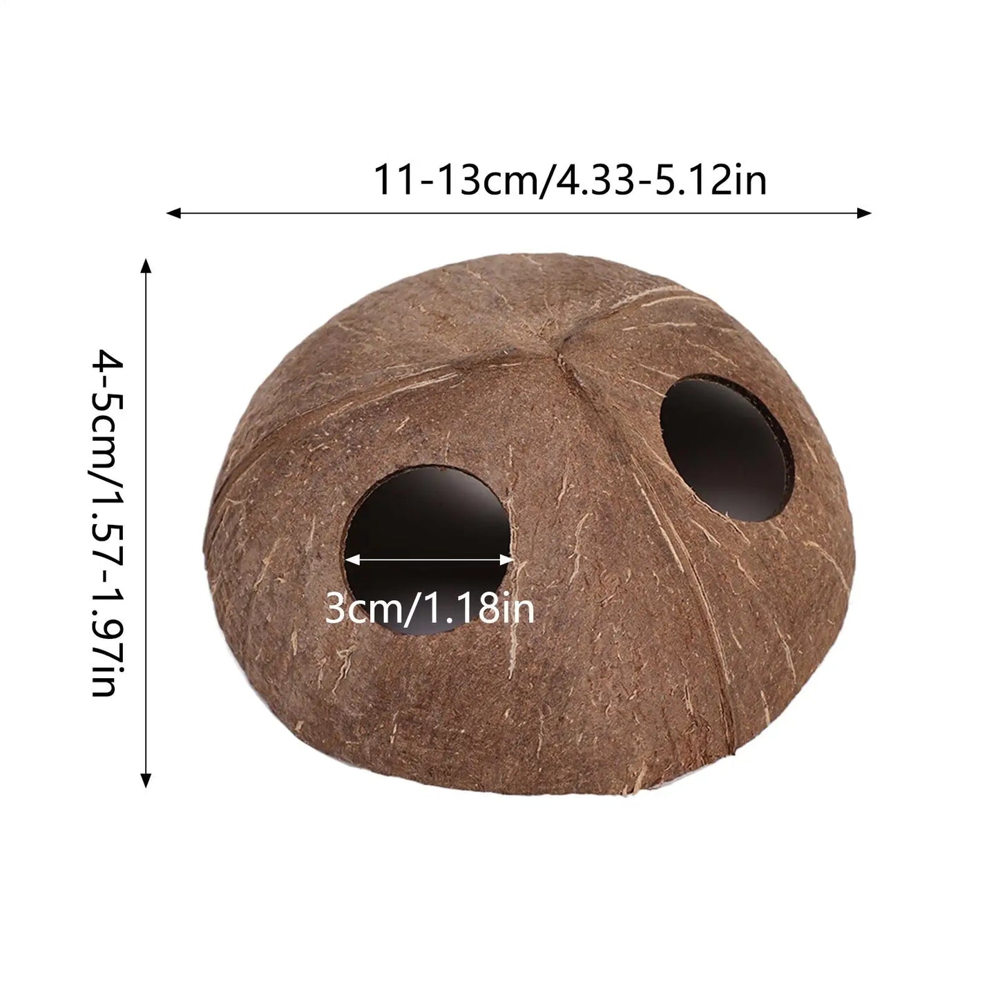 Reptile Coconut Hide