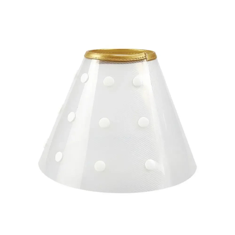 E-Collar/ Recovery Cone