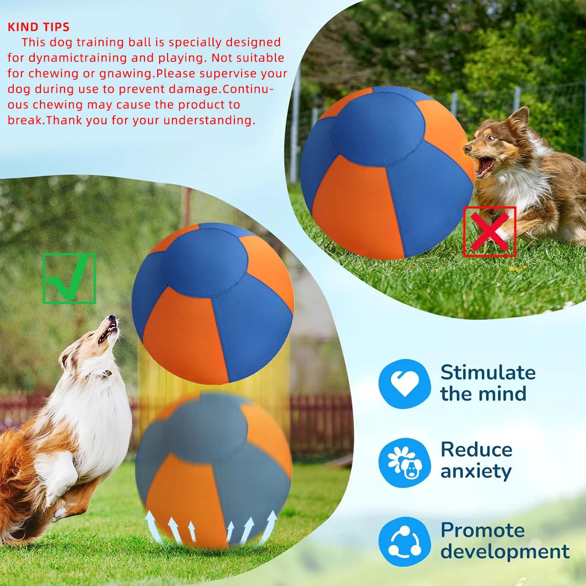 Inflatable Giant Ball