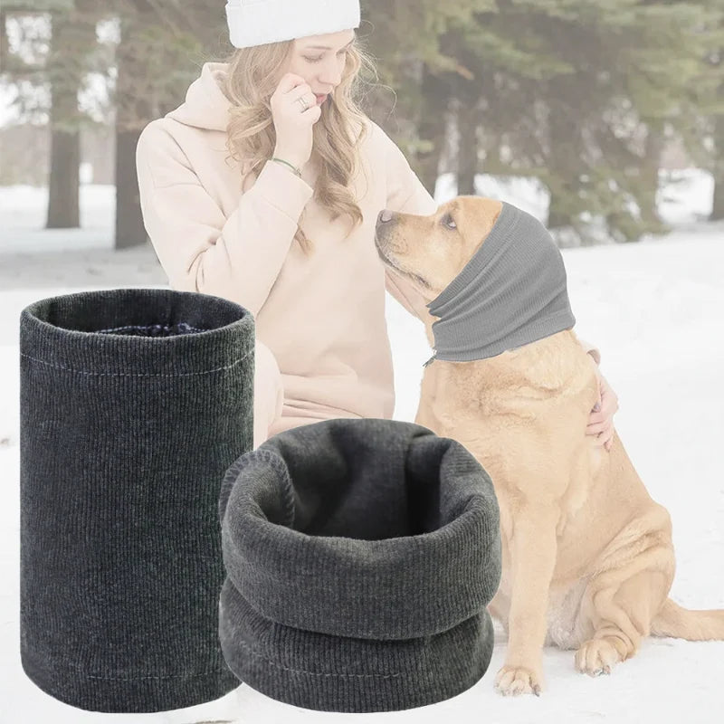 Ear Protection Hoodie