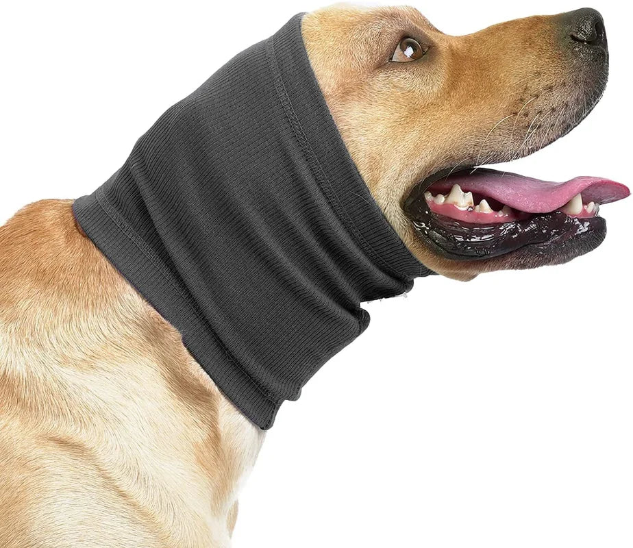 Ear Protection Hoodie