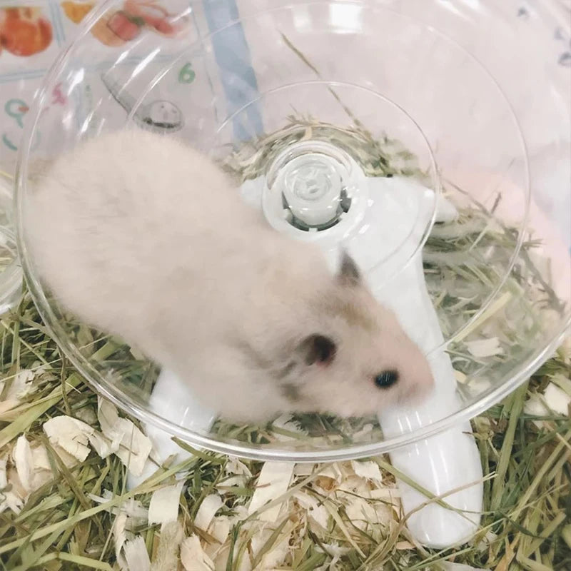 Small Animal Exercise Saucer
