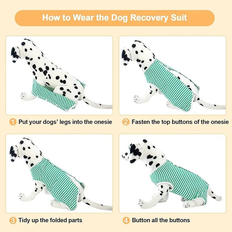 Medium/ Large Dog Recovery Suit