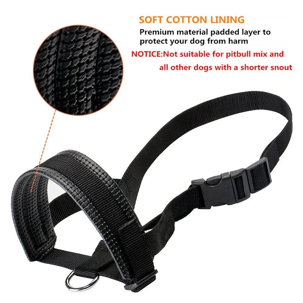 Soft Padded Head Halter