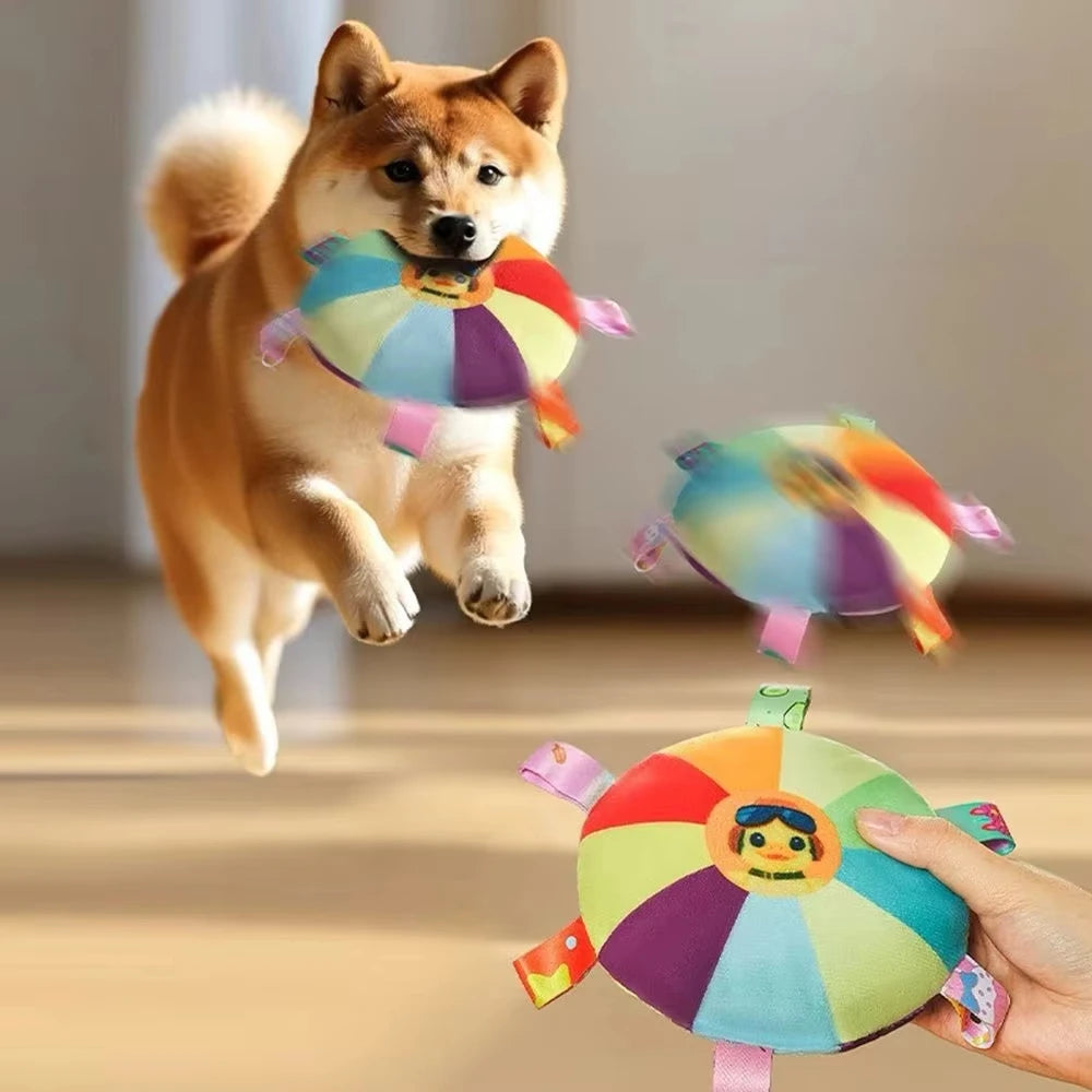 Plush Squeaky Toy