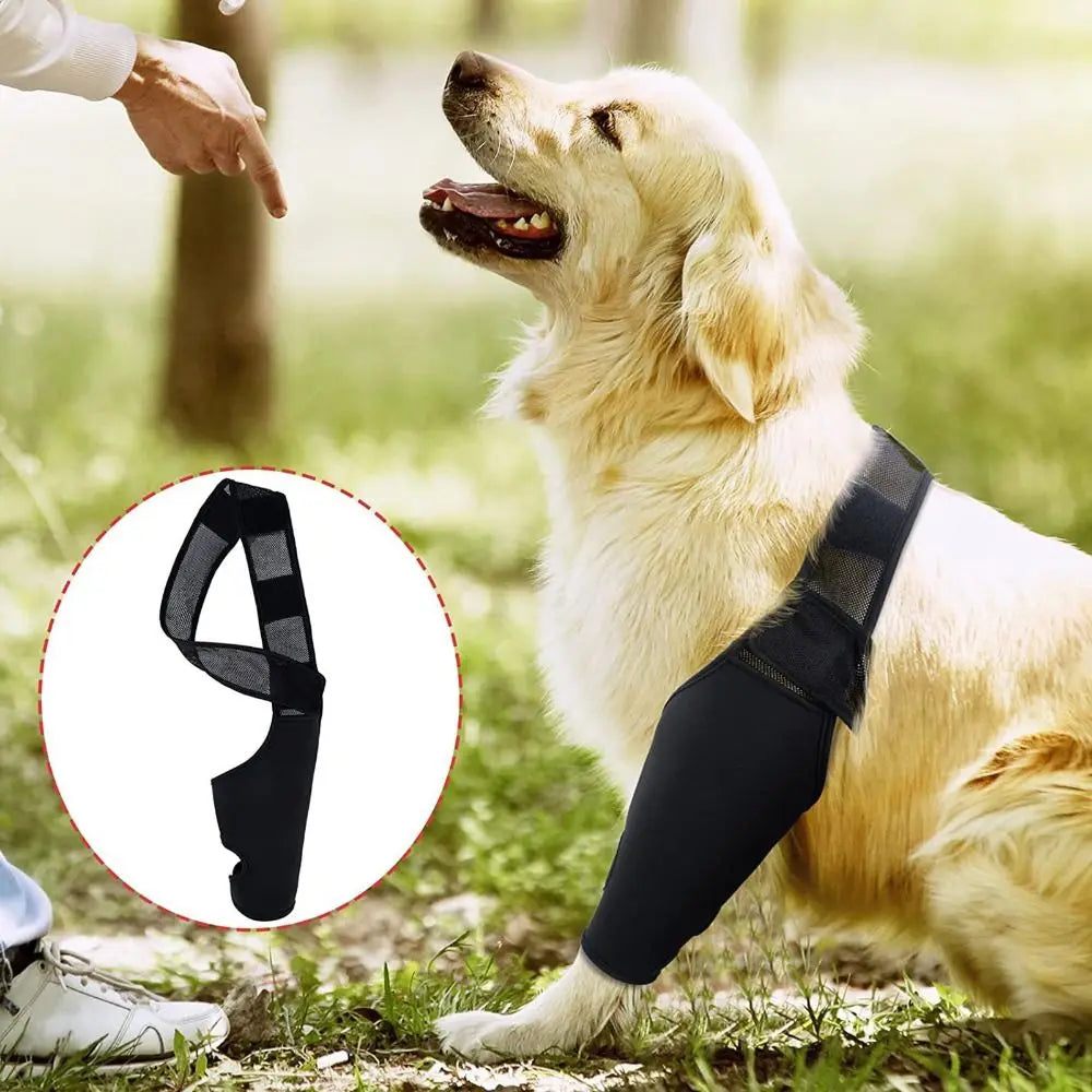 Dog Leg Recovery Brace