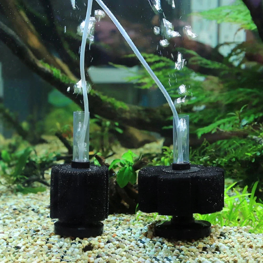 Aquarium Sponge Filter/ Replacement Sponge