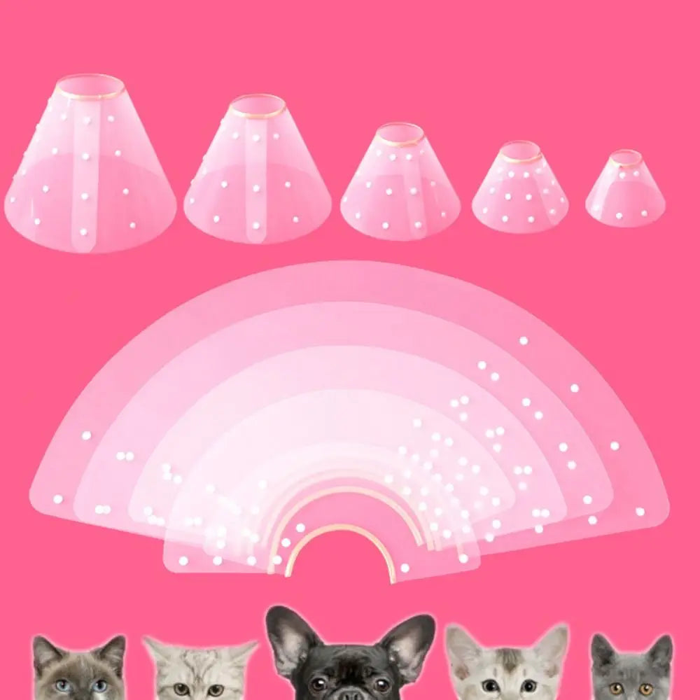E-Collar/ Recovery Cone