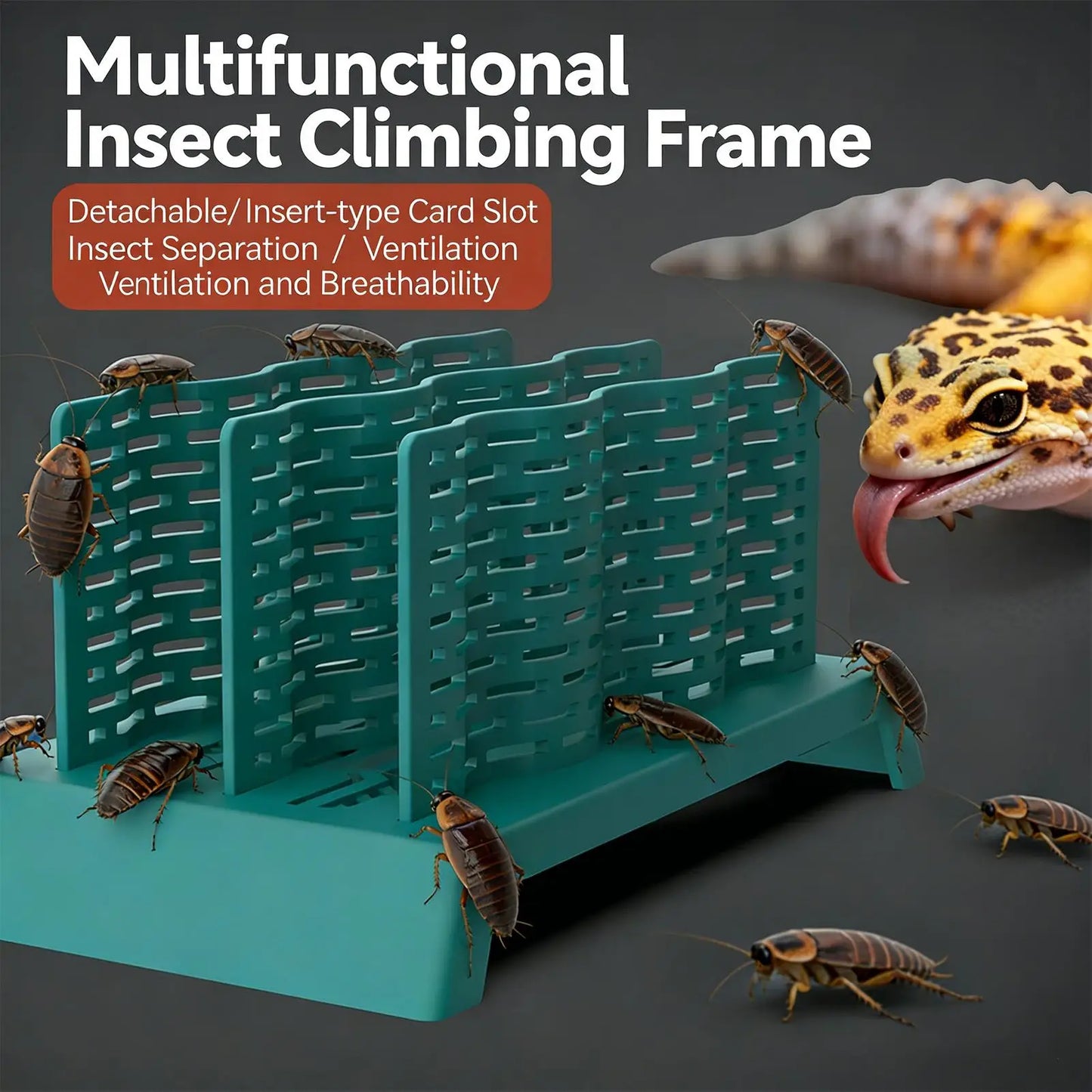 Feeder Insect Climbing Frame