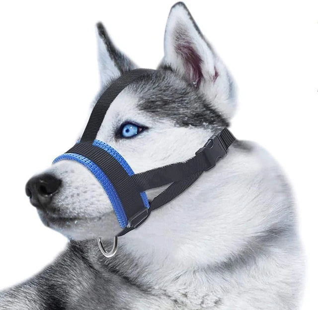 Soft Padded Head Halter