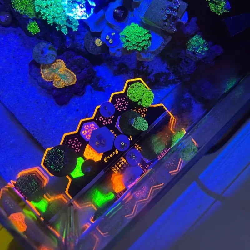 Fluorescent Magnetic Frag Plug Holder
