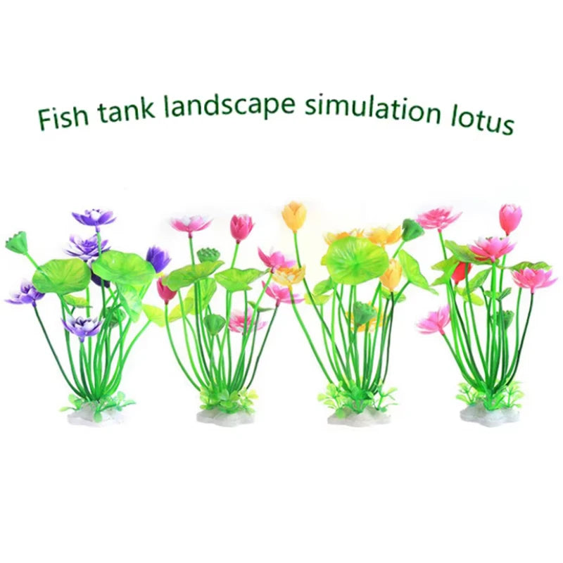 Aquarium Decor