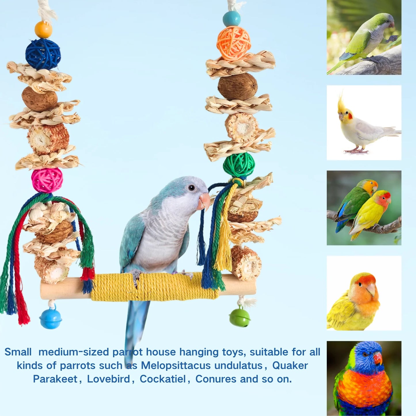 Bird Swing