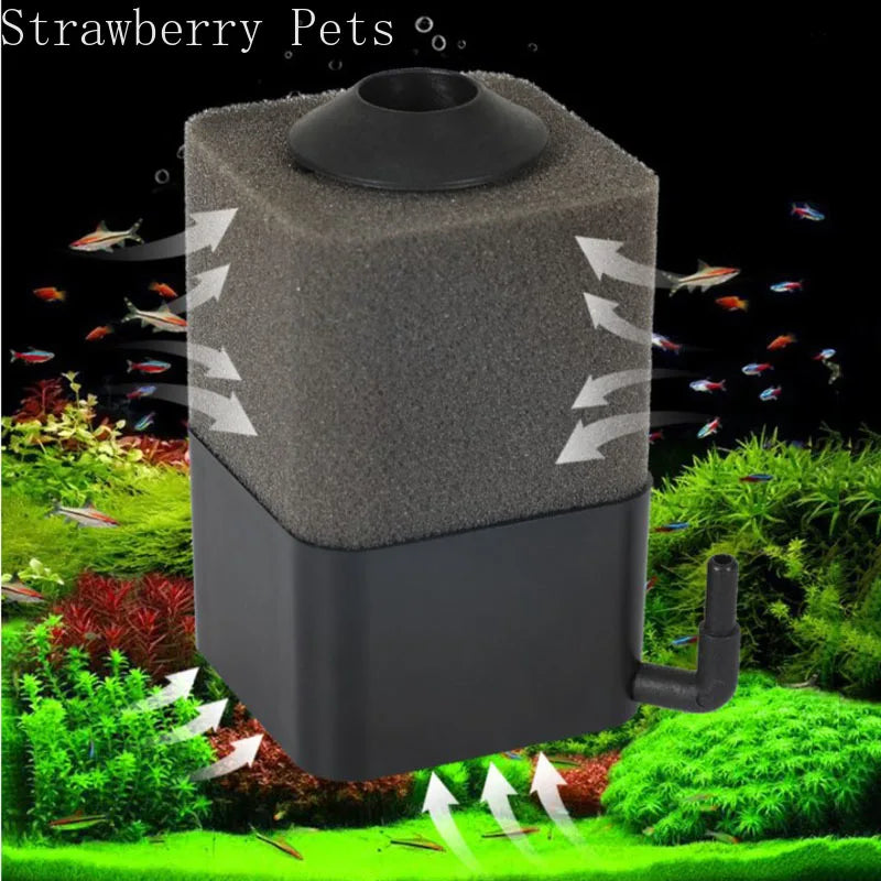 Sponge Filter