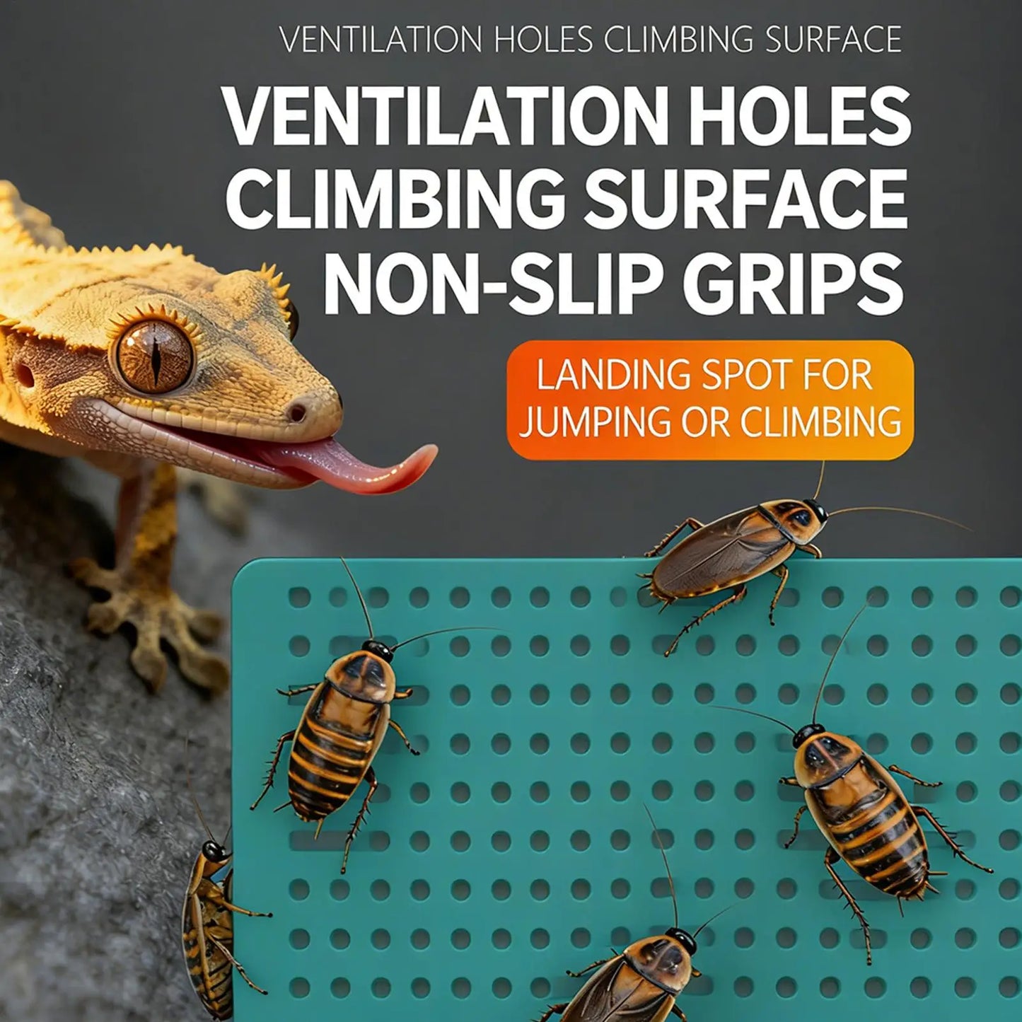 Feeder Insect Climbing Frame