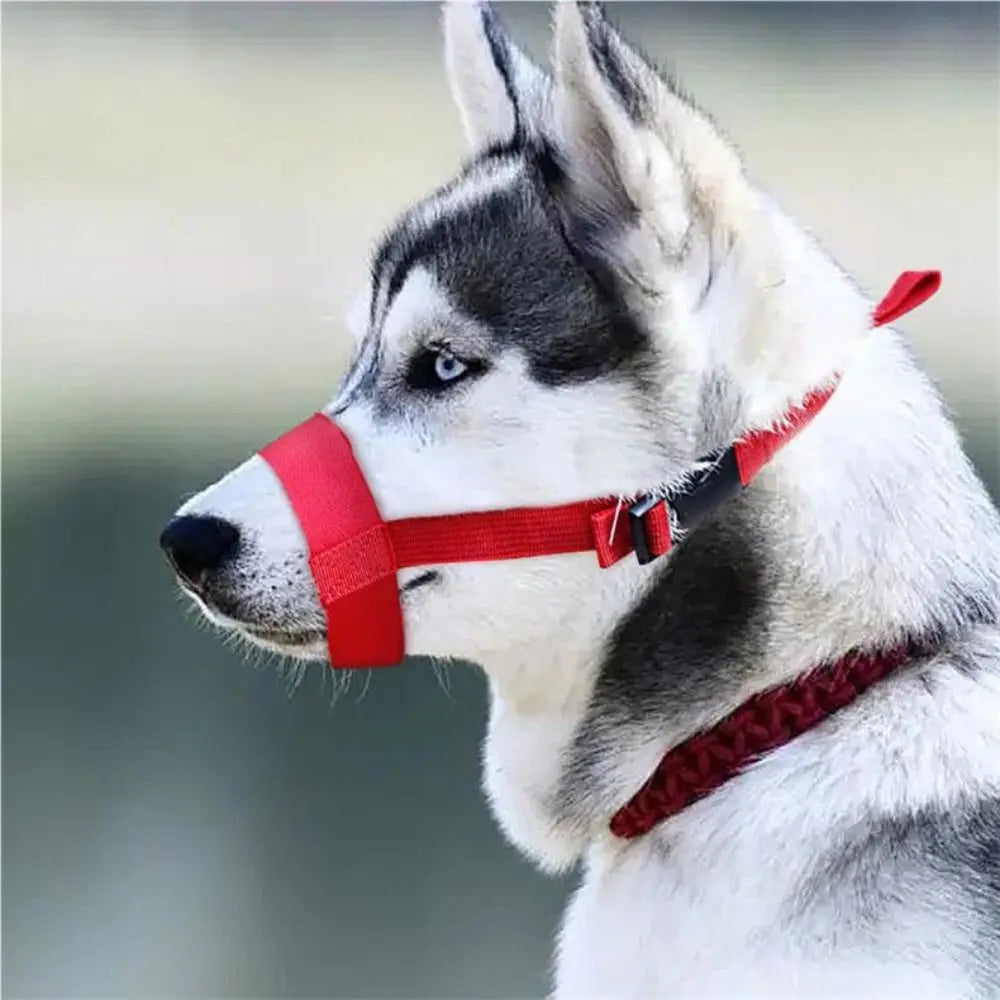 Adjustable Medical Muzzle