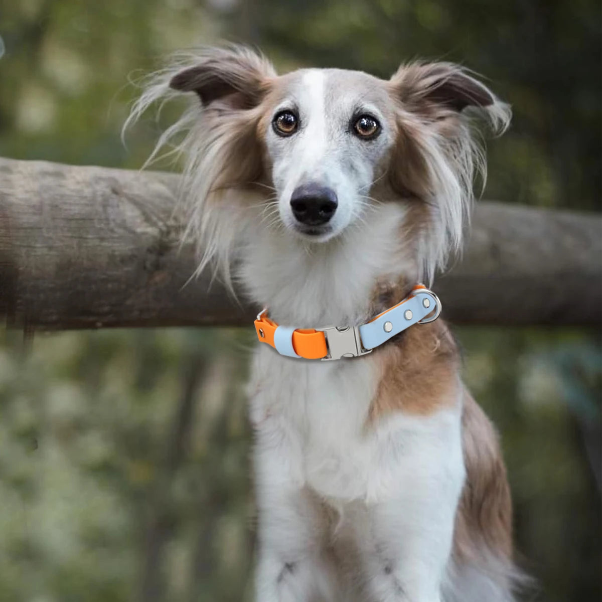 PVC Dog Collar