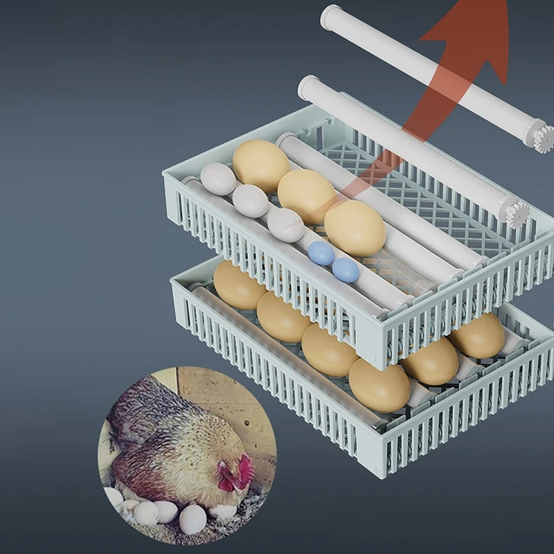 24 Egg Incubator