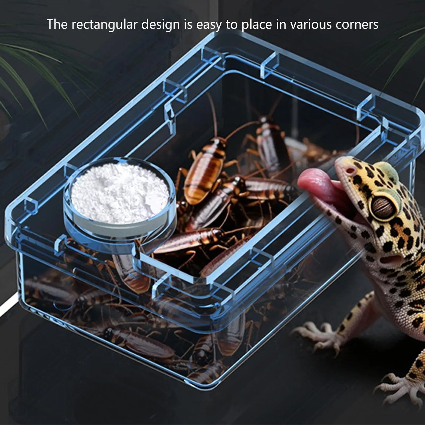 Reptile Anti-Escape Bowl