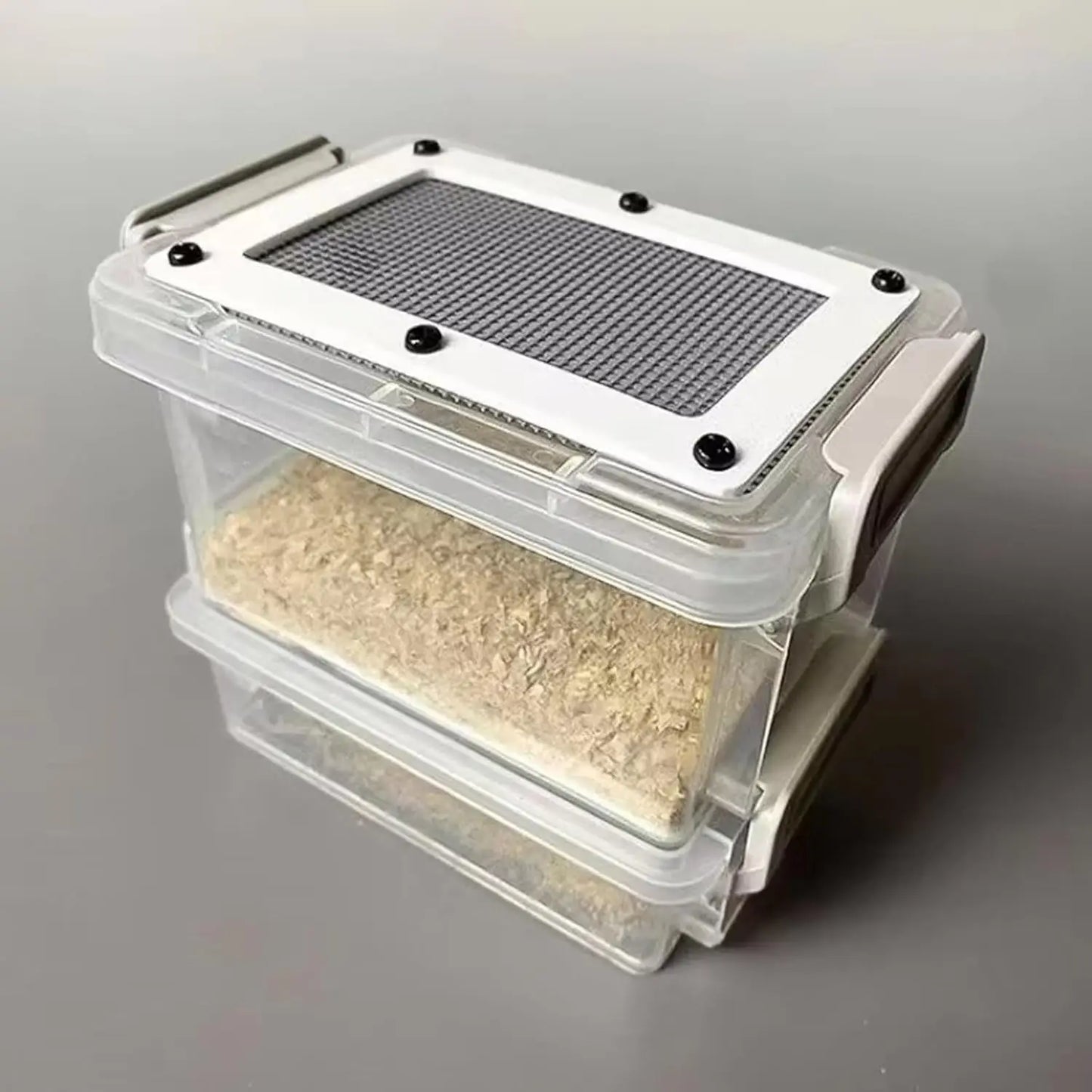 Feeder Insect Breeder Box