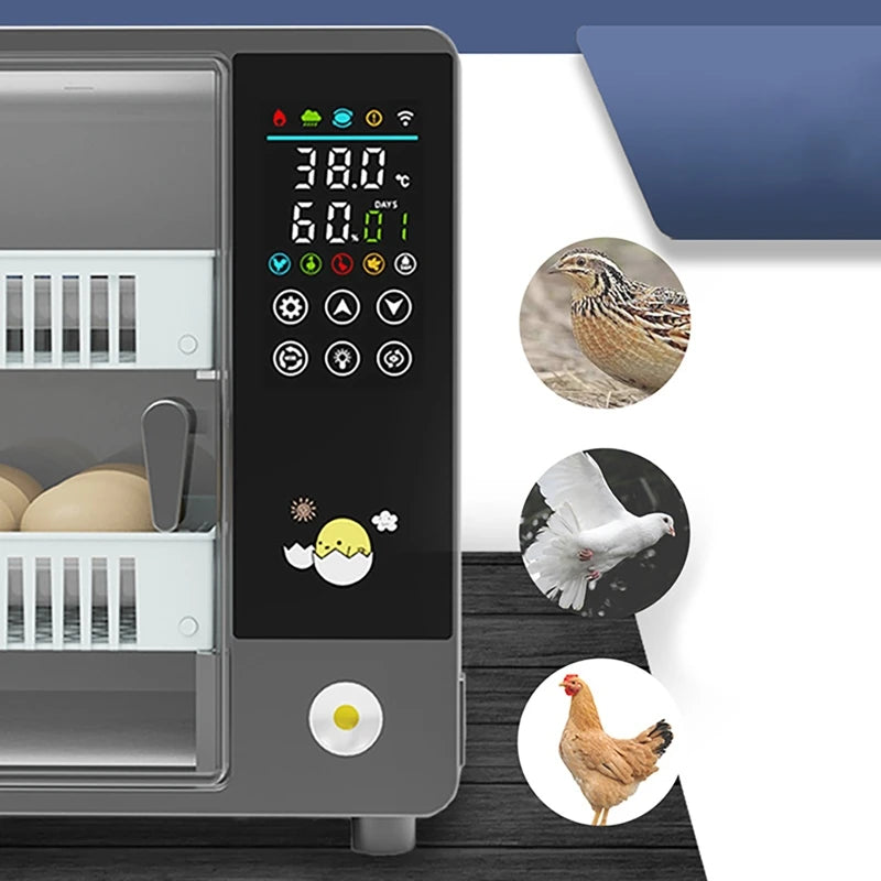 24 Egg Incubator