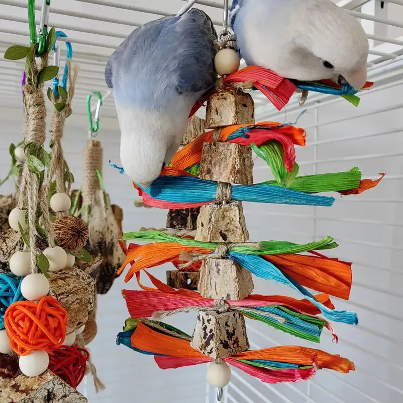 Bird Toy